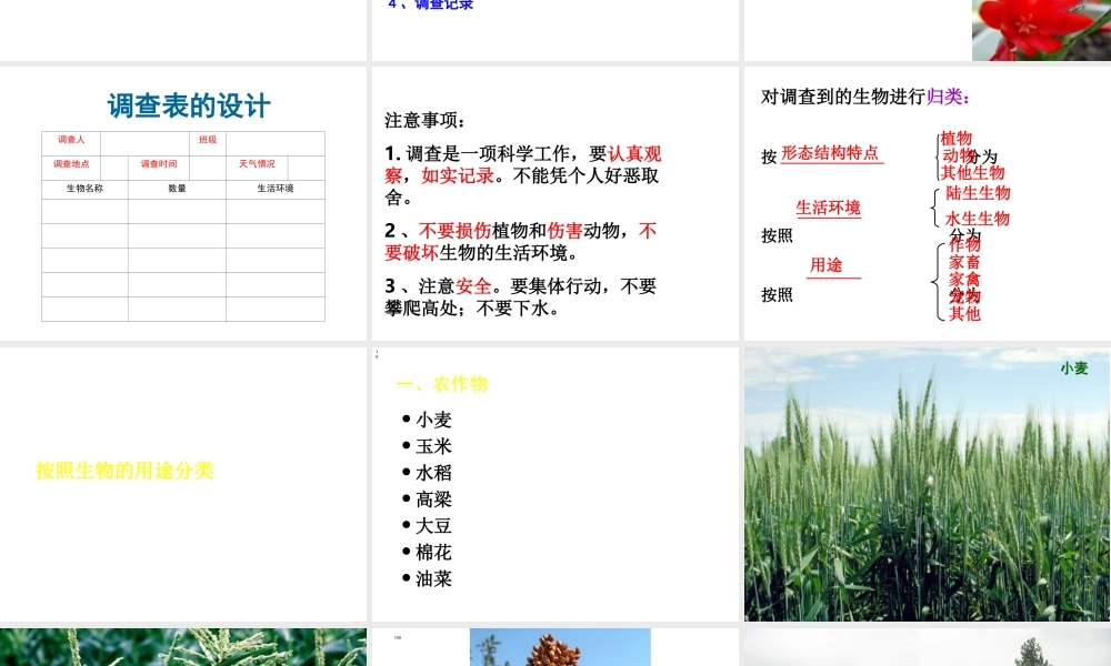 安徽省合肥市长丰县七年级生物上册 3.4.2《调查我们身边的生物》课件2 （新版）新人教版-（新版）新人教版初中七年级上册生物课件