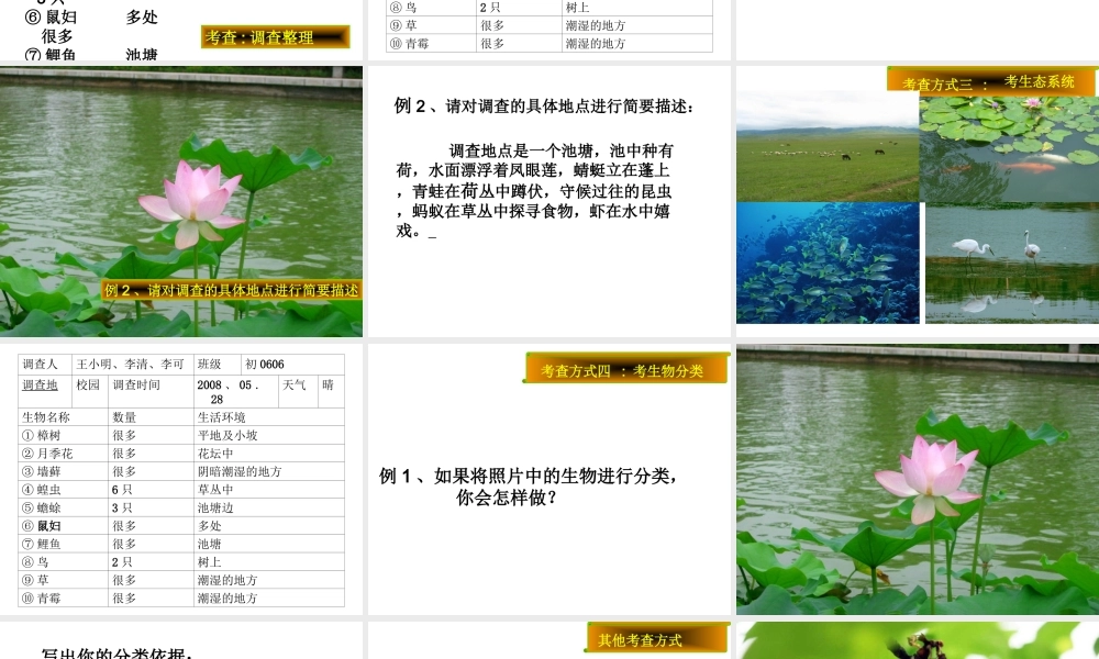 安徽省合肥市长丰县七年级生物上册 3.4.2《调查我们身边的生物》课件3 （新版）新人教版-（新版）新人教版初中七年级上册生物课件