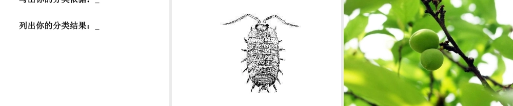 安徽省合肥市长丰县七年级生物上册 3.4.2《调查我们身边的生物》课件3 （新版）新人教版-（新版）新人教版初中七年级上册生物课件