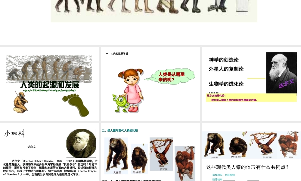 安徽省马鞍山市七年级生物上册 4.1 人类的起源课件 新人教版-新人教版初中七年级上册生物课件