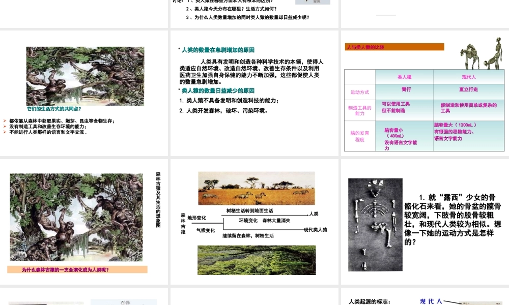 安徽省马鞍山市七年级生物上册 4.1 人类的起源课件 新人教版-新人教版初中七年级上册生物课件