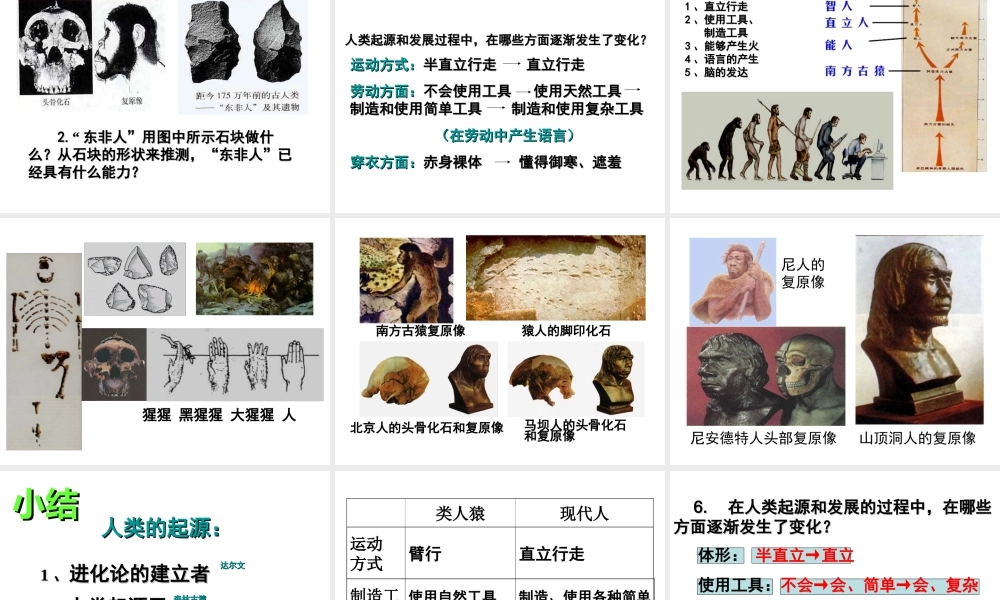 安徽省马鞍山市七年级生物上册 4.1 人类的起源课件 新人教版-新人教版初中七年级上册生物课件