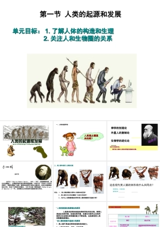 安徽省马鞍山市七年级生物上册 4.1 人类的起源课件 新人教版-新人教版初中七年级上册生物课件