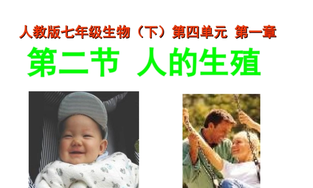 安徽省马鞍山市七年级生物上册 4.2 人的生殖课件 新人教版-新人教版初中七年级上册生物课件