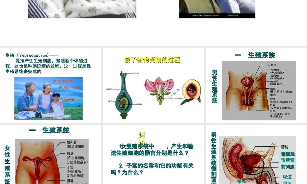 安徽省马鞍山市七年级生物上册 4.2 人的生殖课件 新人教版-新人教版初中七年级上册生物课件