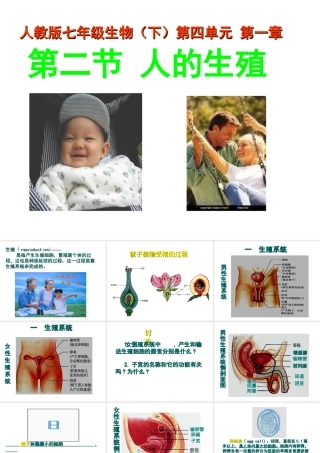 安徽省马鞍山市七年级生物上册 4.2 人的生殖课件 新人教版-新人教版初中七年级上册生物课件