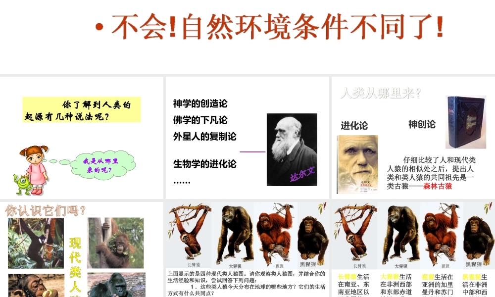 安徽省合肥市长丰县七年级生物下册 4.1.1《人类的起源和发展》课件1 （新版）新人教版-（新版）新人教版初中七年级下册生物课件