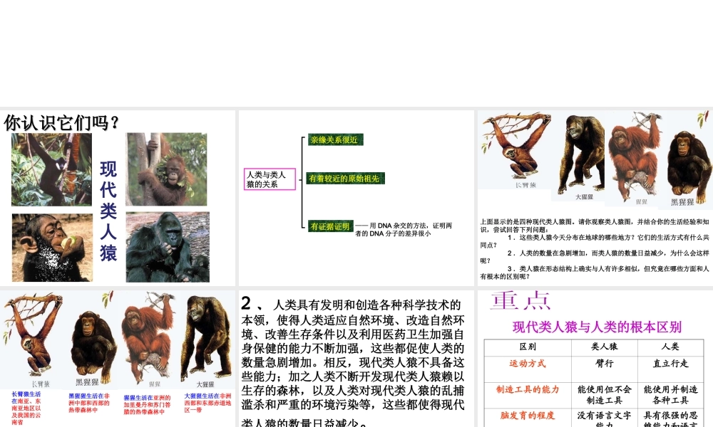 安徽省合肥市长丰县七年级生物下册 4.1.1《人类的起源和发展》课件2 （新版）新人教版-（新版）新人教版初中七年级下册生物课件