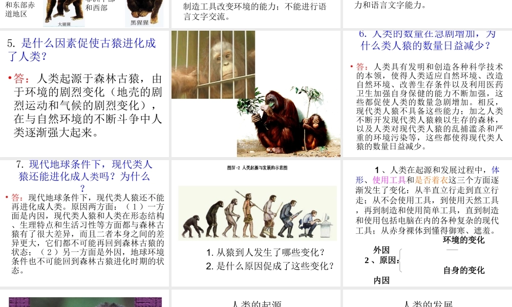 安徽省合肥市长丰县七年级生物下册 4.1.1《人类的起源和发展》课件3 （新版）新人教版-（新版）新人教版初中七年级下册生物课件