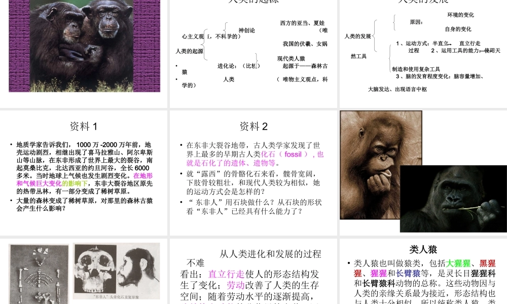 安徽省合肥市长丰县七年级生物下册 4.1.1《人类的起源和发展》课件3 （新版）新人教版-（新版）新人教版初中七年级下册生物课件