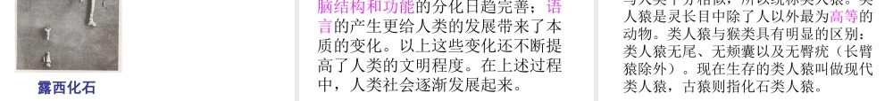 安徽省合肥市长丰县七年级生物下册 4.1.1《人类的起源和发展》课件3 （新版）新人教版-（新版）新人教版初中七年级下册生物课件