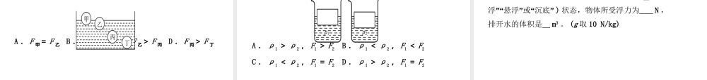 （东营专版）中考物理总复习 第十章 浮力课件-人教版初中九年级全册物理课件
