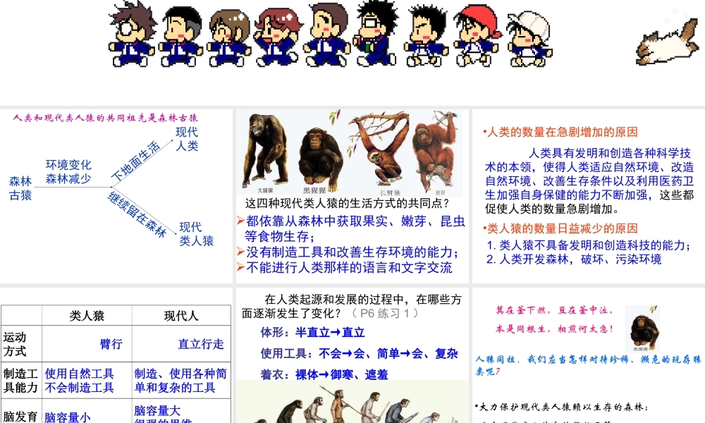 安徽省合肥市长丰县七年级生物下册 4.1.1《人类的起源和发展》课件4 （新版）新人教版-（新版）新人教版初中七年级下册生物课件