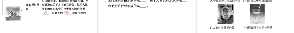 （东营专版）中考物理总复习 第四章 光现象课件-人教版初中九年级全册物理课件