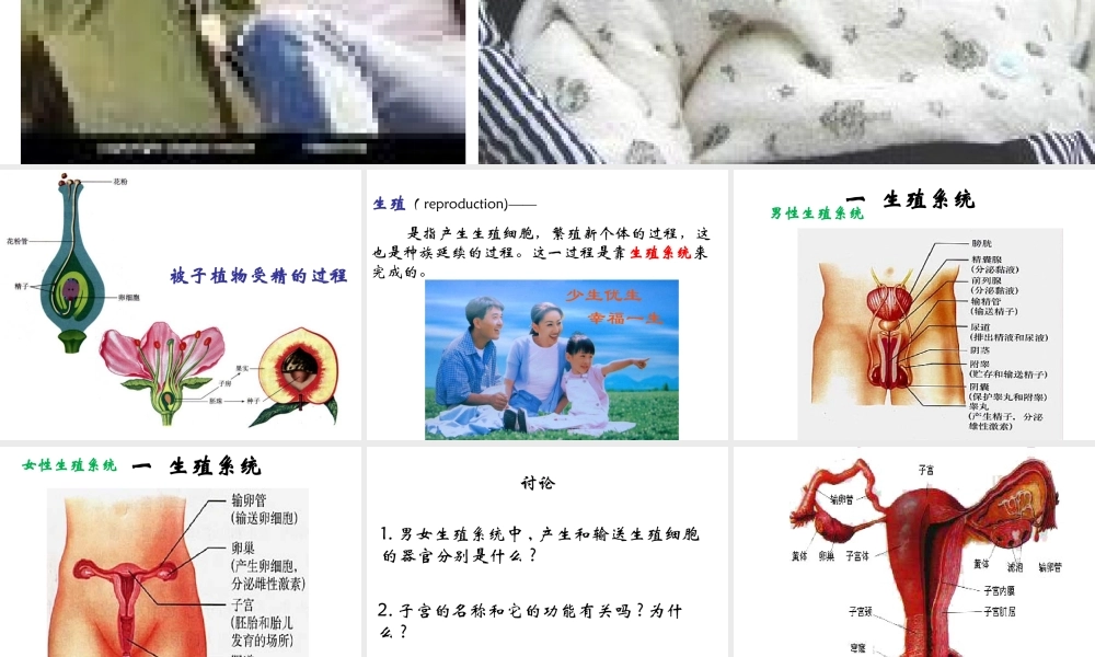 安徽省合肥市长丰县七年级生物下册 4.1.2《人的生殖》课件1 （新版）新人教版-（新版）新人教版初中七年级下册生物课件
