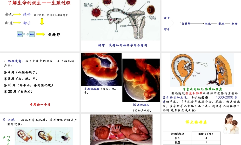 安徽省合肥市长丰县七年级生物下册 4.1.2《人的生殖》课件1 （新版）新人教版-（新版）新人教版初中七年级下册生物课件