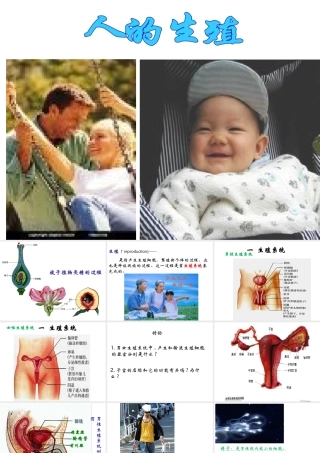 安徽省合肥市长丰县七年级生物下册 4.1.2《人的生殖》课件1 （新版）新人教版-（新版）新人教版初中七年级下册生物课件