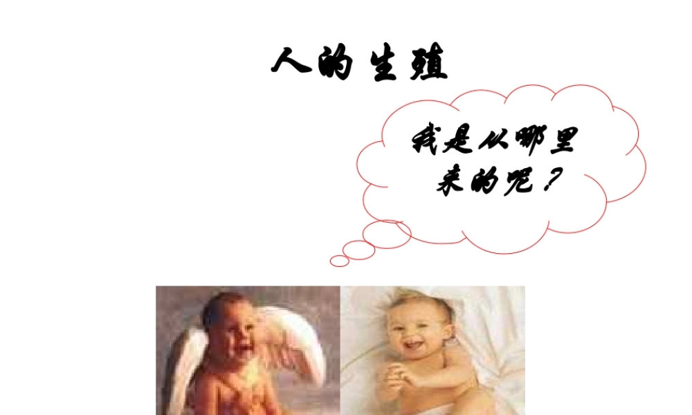 安徽省合肥市长丰县七年级生物下册 4.1.2《人的生殖》课件2 （新版）新人教版-（新版）新人教版初中七年级下册生物课件