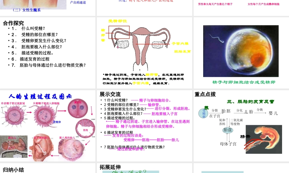 安徽省合肥市长丰县七年级生物下册 4.1.2《人的生殖》课件2 （新版）新人教版-（新版）新人教版初中七年级下册生物课件