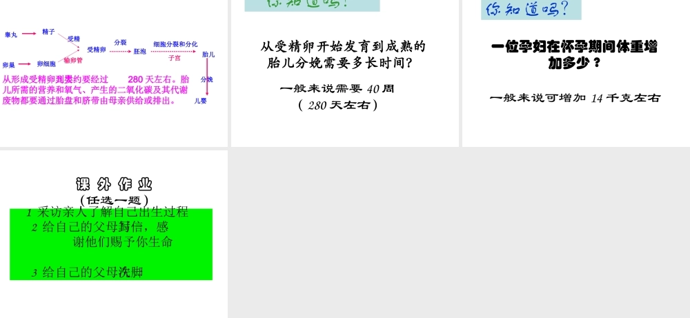 安徽省合肥市长丰县七年级生物下册 4.1.2《人的生殖》课件2 （新版）新人教版-（新版）新人教版初中七年级下册生物课件