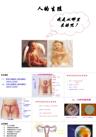 安徽省合肥市长丰县七年级生物下册 4.1.2《人的生殖》课件2 （新版）新人教版-（新版）新人教版初中七年级下册生物课件