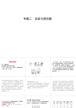 （东营专版）中考物理总复习 专题二课件-人教版初中九年级全册物理课件