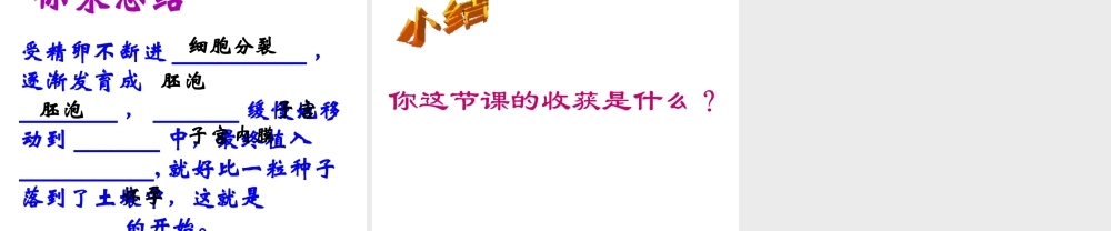 安徽省合肥市长丰县七年级生物下册 4.1.2《人的生殖》课件3 （新版）新人教版-（新版）新人教版初中七年级下册生物课件