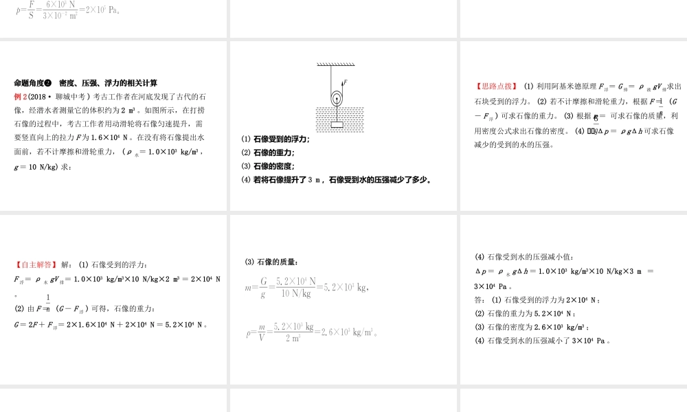 （东营专版）中考物理总复习 专题三课件-人教版初中九年级全册物理课件