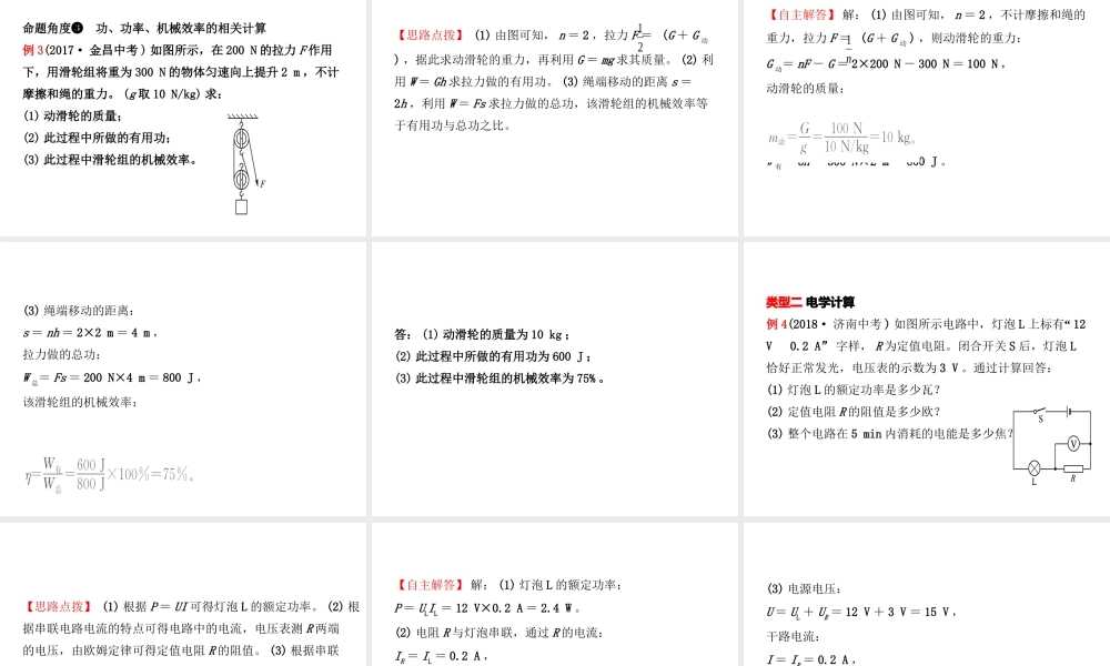 （东营专版）中考物理总复习 专题三课件-人教版初中九年级全册物理课件