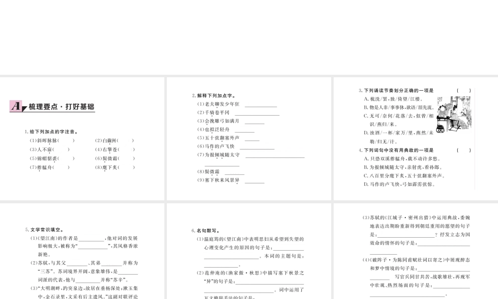 安徽省秋九年级语文上册 第六单元 25 词五首习题讲评课件 新人教版-新人教版初中九年级上册语文课件