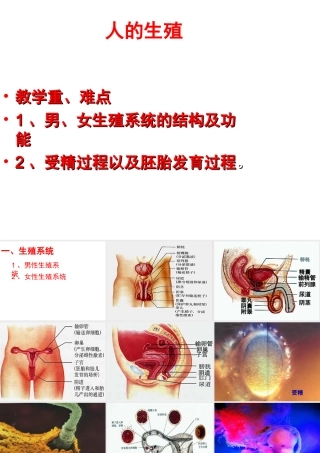 安徽省合肥市长丰县七年级生物下册 4.1.2《人的生殖》课件4 （新版）新人教版-（新版）新人教版初中七年级下册生物课件