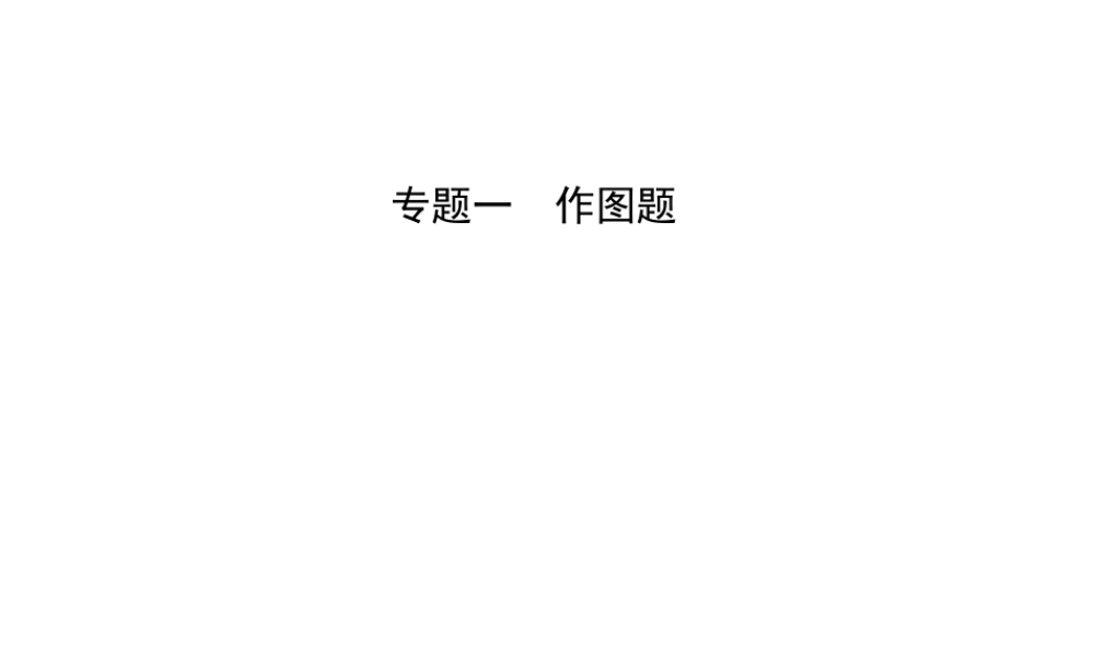 （东营专版）中考物理总复习 专题一课件-人教版初中九年级全册物理课件