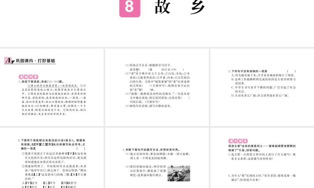 安徽省秋九年级语文上册 第三单元 9 故乡习题讲评课件 新人教版-新人教版初中九年级上册语文课件