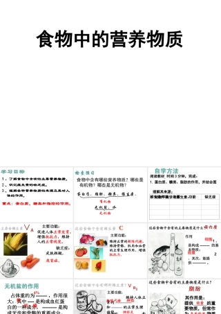 安徽省合肥市长丰县七年级生物下册 4.2.1《食物中的营养物质》课件2 （新版）新人教版-（新版）新人教版初中七年级下册生物课件
