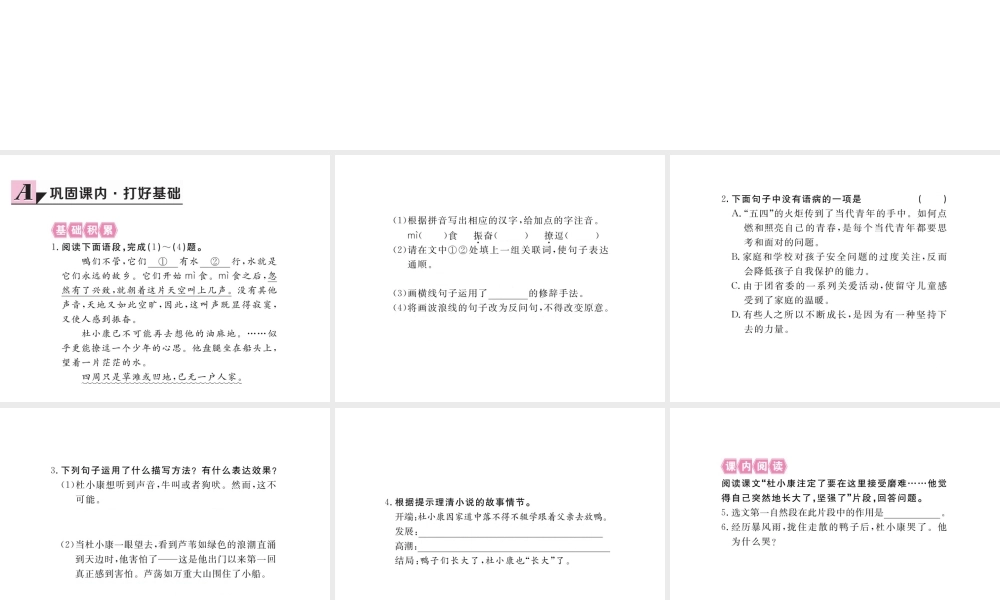 安徽省秋九年级语文上册 第三单元 10 孤独之旅习题讲评课件 新人教版-新人教版初中九年级上册语文课件