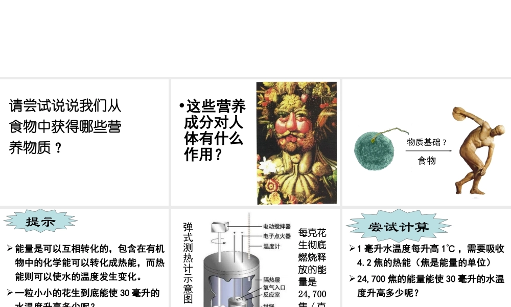 安徽省合肥市长丰县七年级生物下册 4.2.1《食物中的营养物质》课件3 （新版）新人教版-（新版）新人教版初中七年级下册生物课件