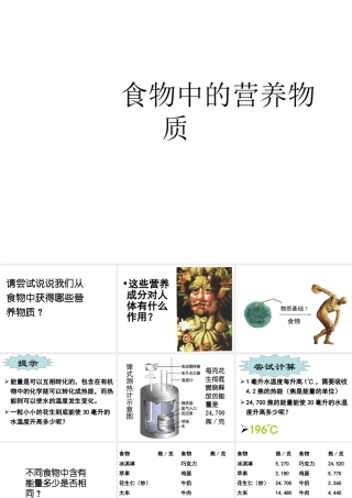 安徽省合肥市长丰县七年级生物下册 4.2.1《食物中的营养物质》课件3 （新版）新人教版-（新版）新人教版初中七年级下册生物课件