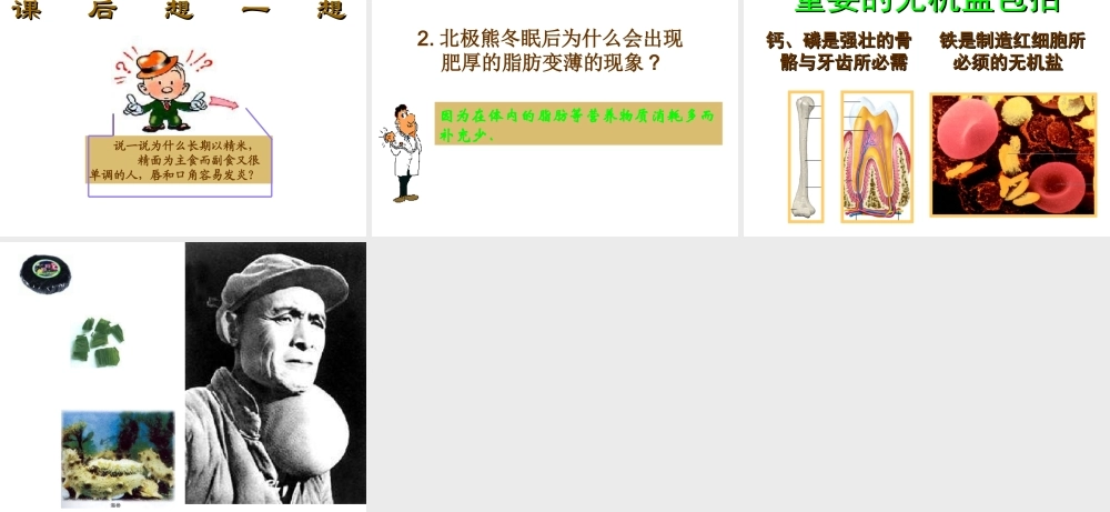 安徽省合肥市长丰县七年级生物下册 4.2.1《食物中的营养物质》课件4 （新版）新人教版-（新版）新人教版初中七年级下册生物课件