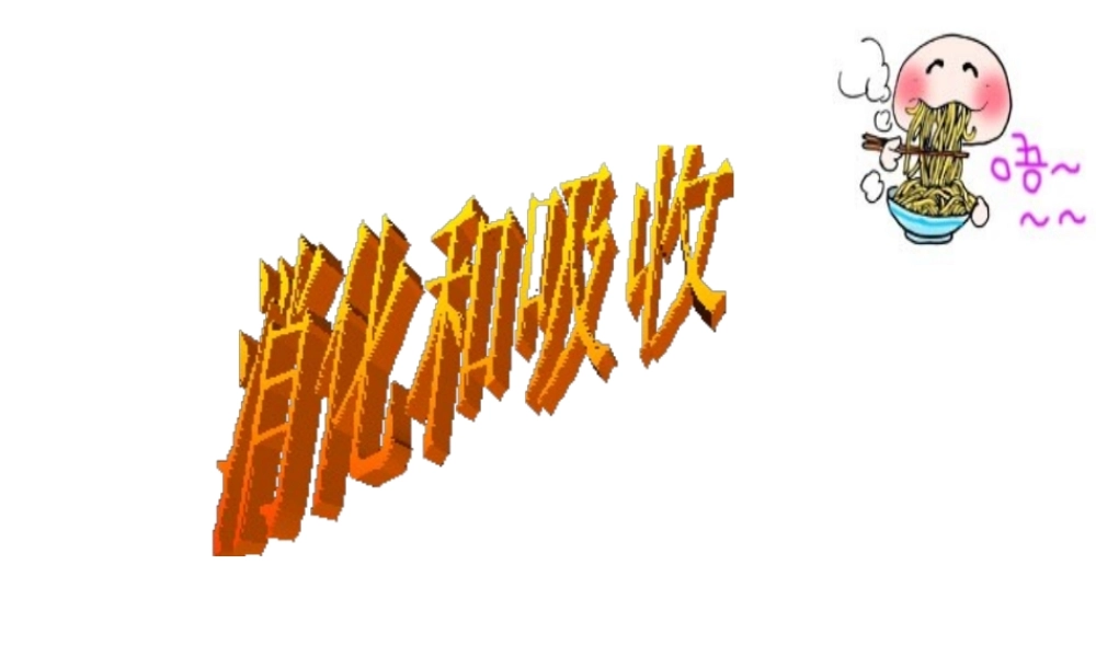 安徽省合肥市长丰县七年级生物下册 4.2.2《消化和吸收》课件1 （新版）新人教版-（新版）新人教版初中七年级下册生物课件