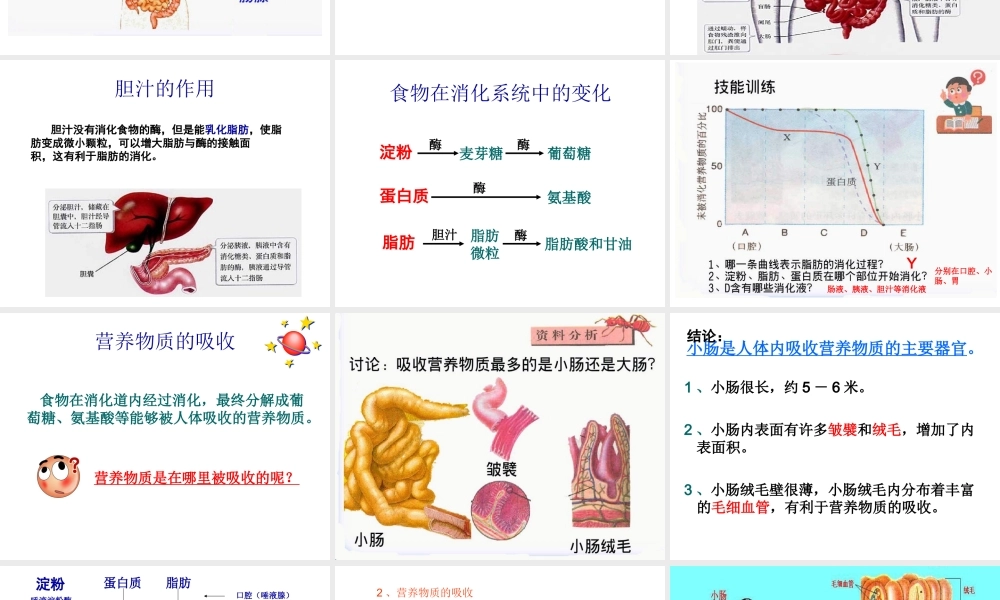 安徽省合肥市长丰县七年级生物下册 4.2.2《消化和吸收》课件1 （新版）新人教版-（新版）新人教版初中七年级下册生物课件