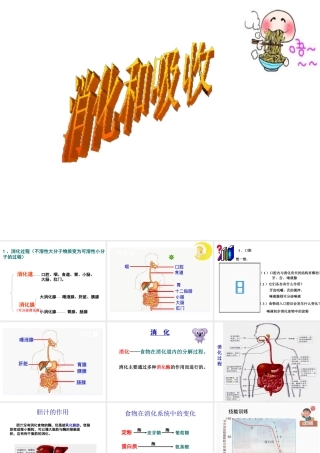 安徽省合肥市长丰县七年级生物下册 4.2.2《消化和吸收》课件1 （新版）新人教版-（新版）新人教版初中七年级下册生物课件