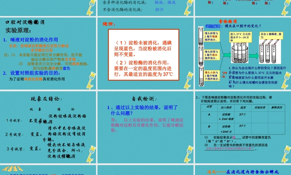 安徽省合肥市长丰县七年级生物下册 4.2.2《消化和吸收》课件2 （新版）新人教版-（新版）新人教版初中七年级下册生物课件