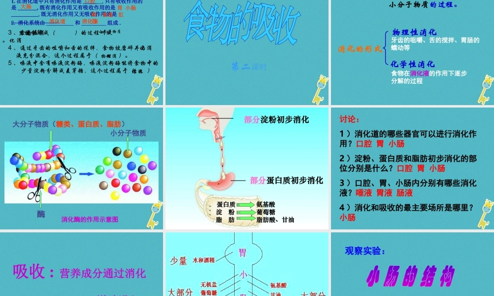 安徽省合肥市长丰县七年级生物下册 4.2.2《消化和吸收》课件2 （新版）新人教版-（新版）新人教版初中七年级下册生物课件