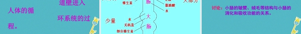 安徽省合肥市长丰县七年级生物下册 4.2.2《消化和吸收》课件2 （新版）新人教版-（新版）新人教版初中七年级下册生物课件