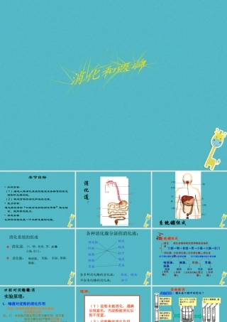 安徽省合肥市长丰县七年级生物下册 4.2.2《消化和吸收》课件2 （新版）新人教版-（新版）新人教版初中七年级下册生物课件