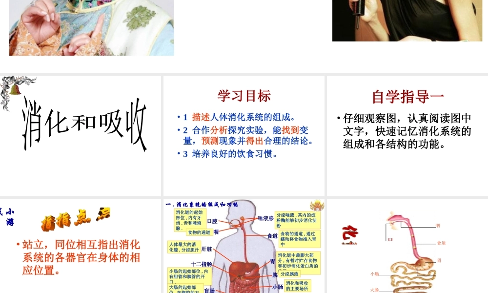 安徽省合肥市长丰县七年级生物下册 4.2.2《消化和吸收》课件3 （新版）新人教版-（新版）新人教版初中七年级下册生物课件