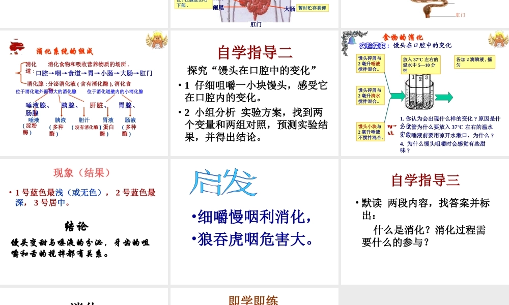 安徽省合肥市长丰县七年级生物下册 4.2.2《消化和吸收》课件3 （新版）新人教版-（新版）新人教版初中七年级下册生物课件