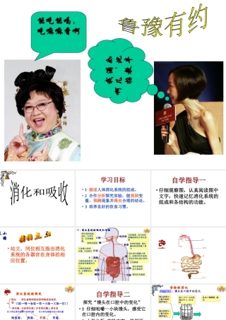 安徽省合肥市长丰县七年级生物下册 4.2.2《消化和吸收》课件3 （新版）新人教版-（新版）新人教版初中七年级下册生物课件