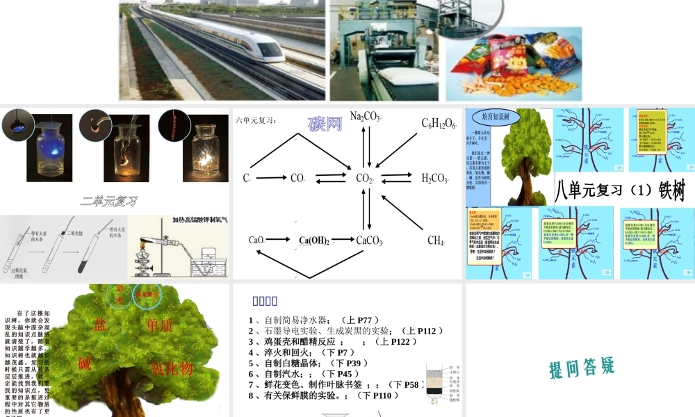 （云南专用）中考化学总复习 常见物质复习策略课件-人教版初中九年级全册化学课件