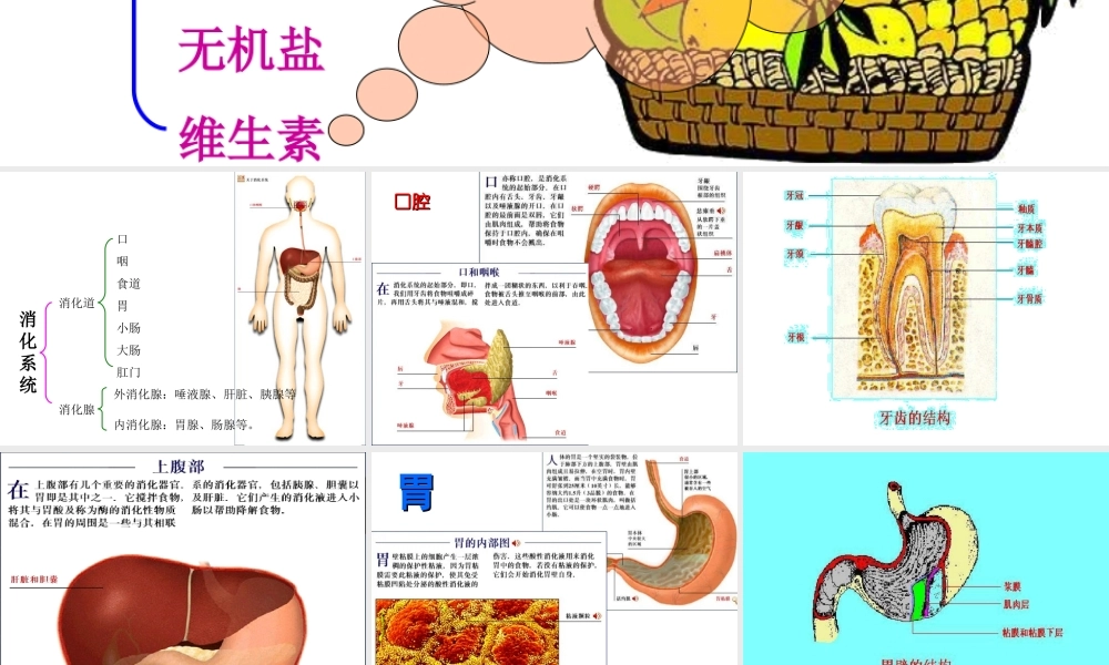 安徽省合肥市长丰县七年级生物下册 4.2.2《消化和吸收》课件4 （新版）新人教版-（新版）新人教版初中七年级下册生物课件